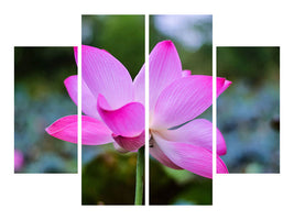 4-piece-canvas-print-beautiful-lotus