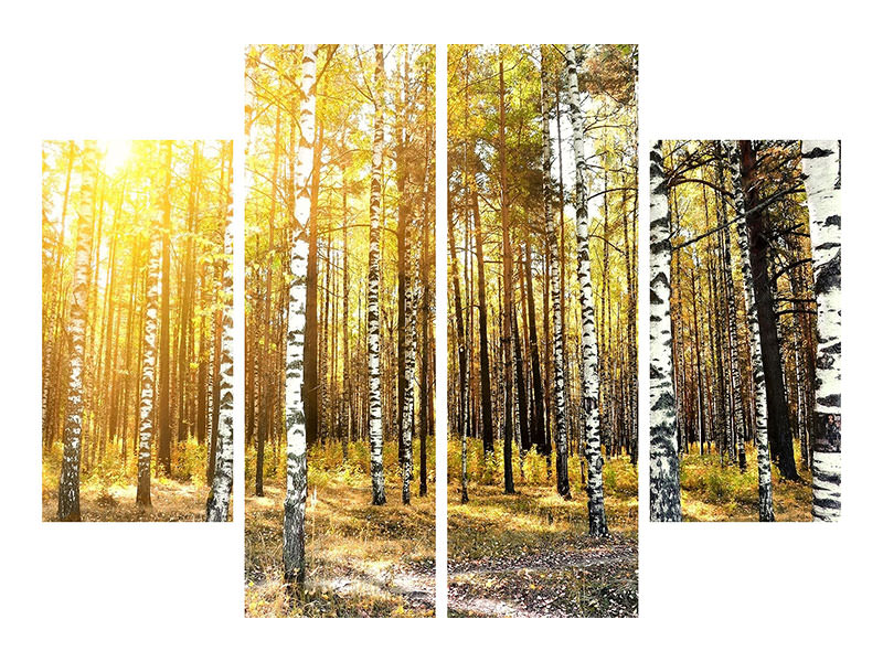 4-piece-canvas-print-birch-forest