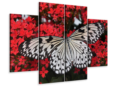 4-piece-canvas-print-butterfly-in-xxl