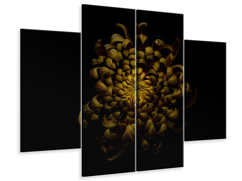 4-piece-canvas-print-chrysanthemum