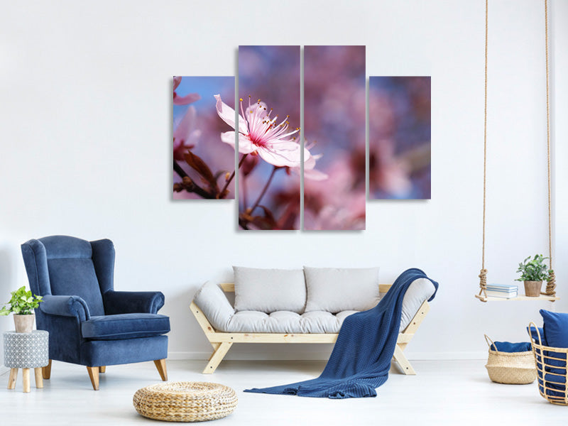 4-piece-canvas-print-close-up-cherry-blossom