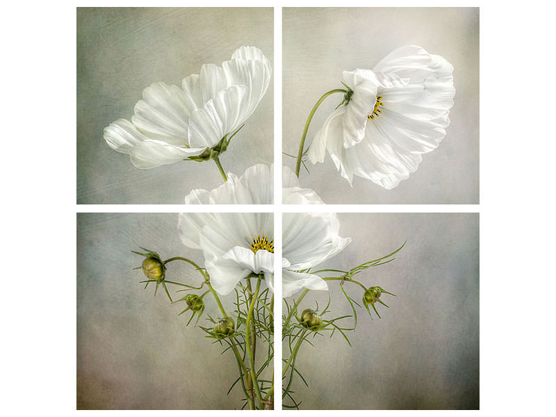 4-piece-canvas-print-cosmos-charm