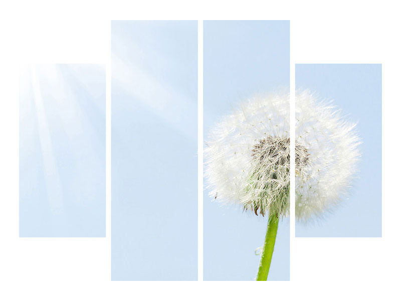 4-piece-canvas-print-dandelion-in-sunbeam