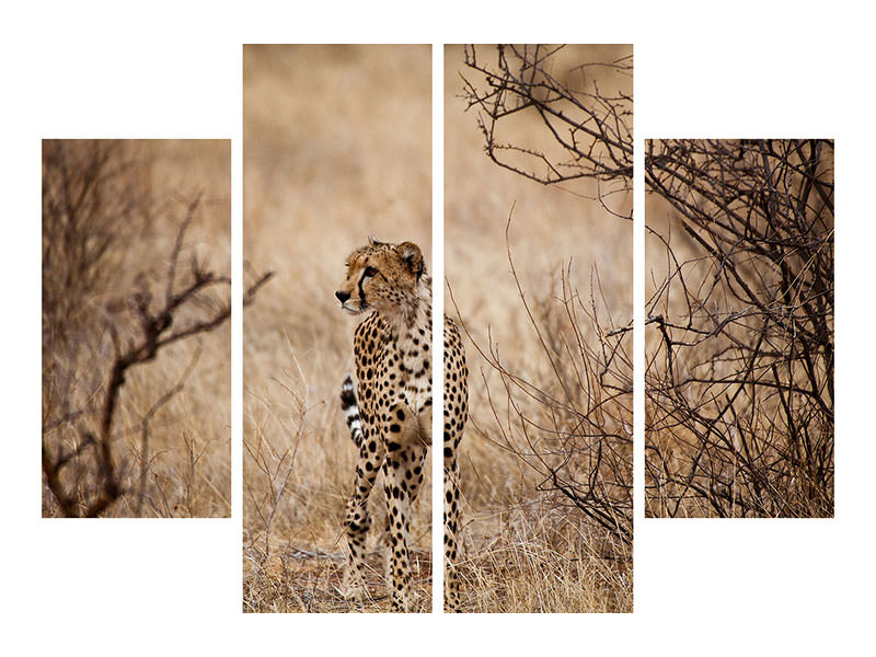 4-piece-canvas-print-elegant-cheetah