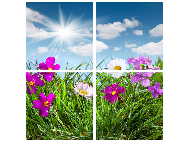 4-piece-canvas-print-flowering-meadow