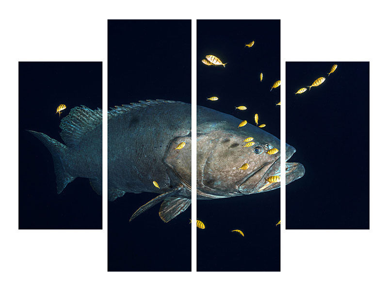 4-piece-canvas-print-giant-grouper