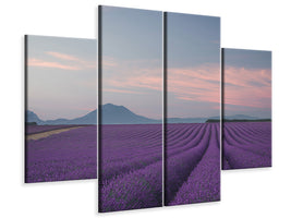 4-piece-canvas-print-lavender-field