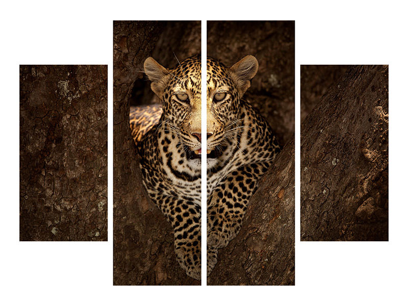 4-piece-canvas-print-leopard-resting-on-a-tree-at-masai-mara