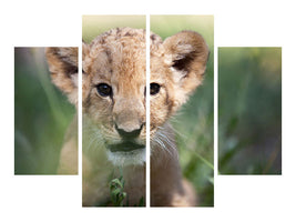 4-piece-canvas-print-lion-baby