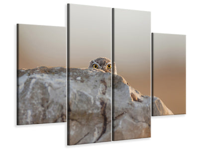 4-piece-canvas-print-little-owl