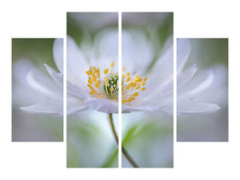 4-piece-canvas-print-nemorosa-nirvana