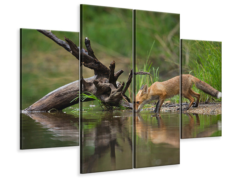 4-piece-canvas-print-red-fox-ii