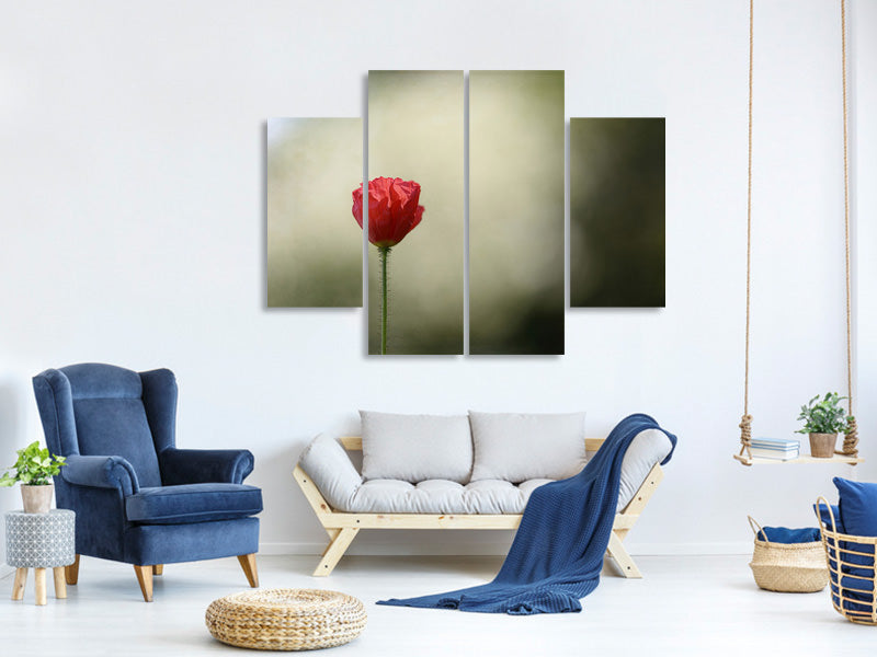 4-piece-canvas-print-red-poppy