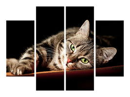 4-piece-canvas-print-relaxed-cat