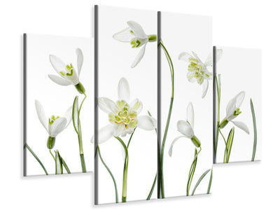 4-piece-canvas-print-spring-snowdrops