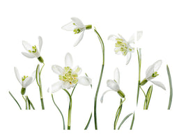 4-piece-canvas-print-spring-snowdrops