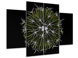 4-piece-canvas-print-stenocactus