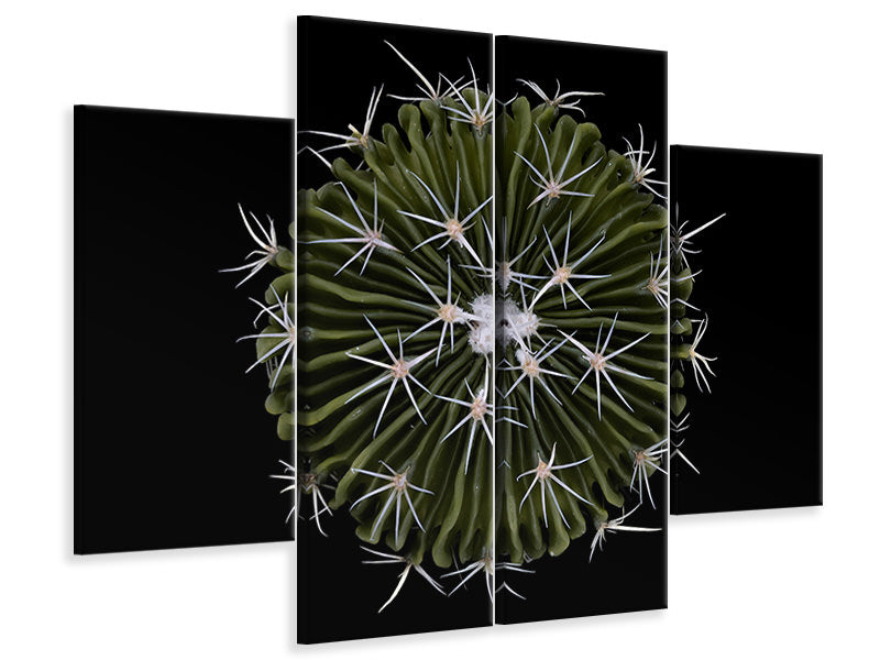 4-piece-canvas-print-stenocactus