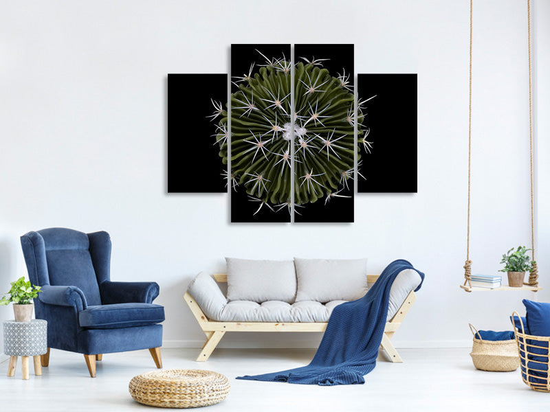 4-piece-canvas-print-stenocactus