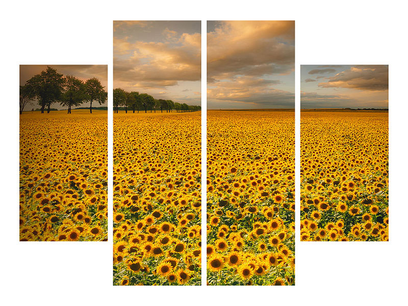 4-piece-canvas-print-sunflowers