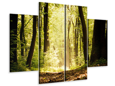 4-piece-canvas-print-sunrise-in-the-forest