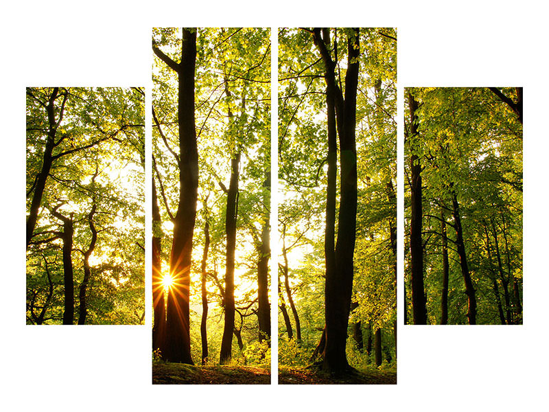 4-piece-canvas-print-sunset-between-trees