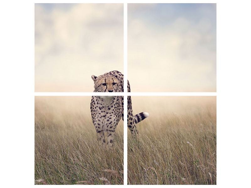 4-piece-canvas-print-the-cheetah