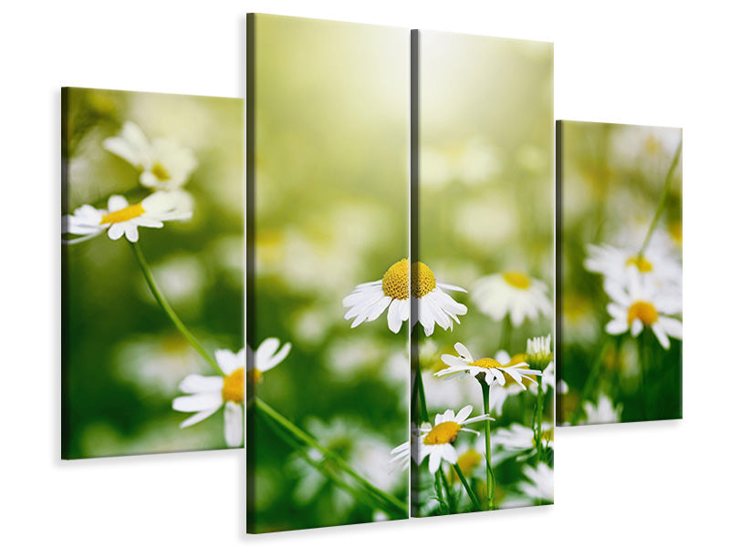 4-piece-canvas-print-the-daisy