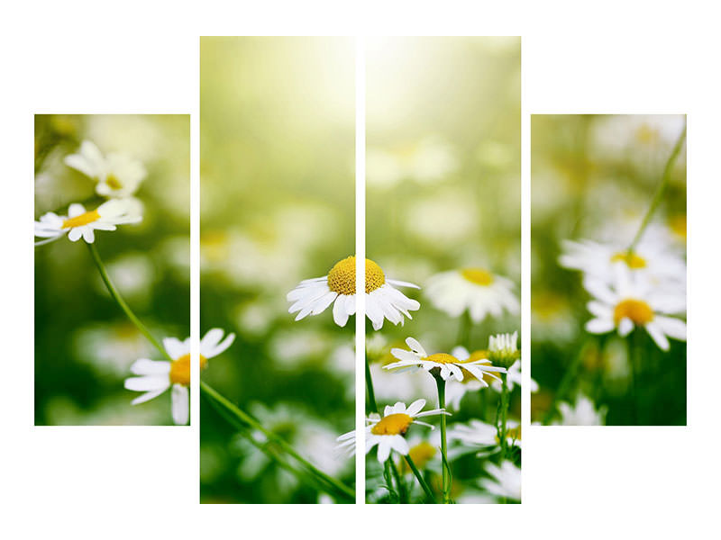 4-piece-canvas-print-the-daisy