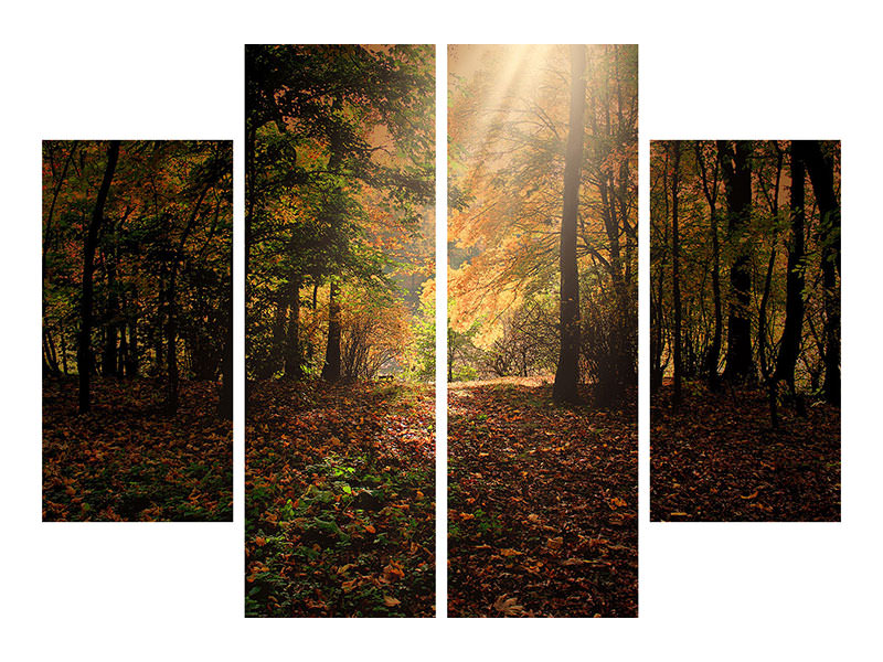 4-piece-canvas-print-the-deciduous-forest