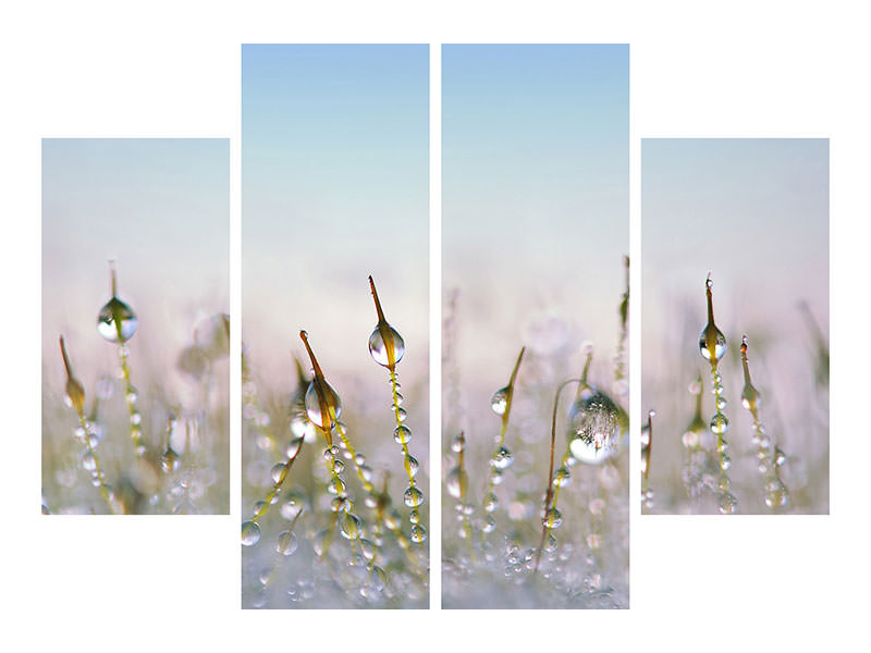 4-piece-canvas-print-the-dew-drops