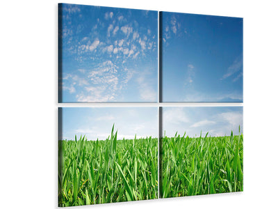 4-piece-canvas-print-the-grass