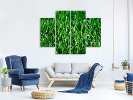 4-piece-canvas-print-the-meadow-in-xl