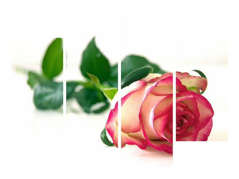 4-piece-canvas-print-the-proud-rose