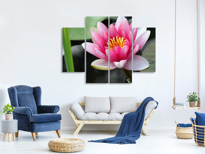 4-piece-canvas-print-the-water-lily-in-pink