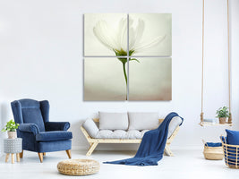 4-piece-canvas-print-white-cosmos