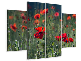 4-piece-canvas-print-wild-poppy