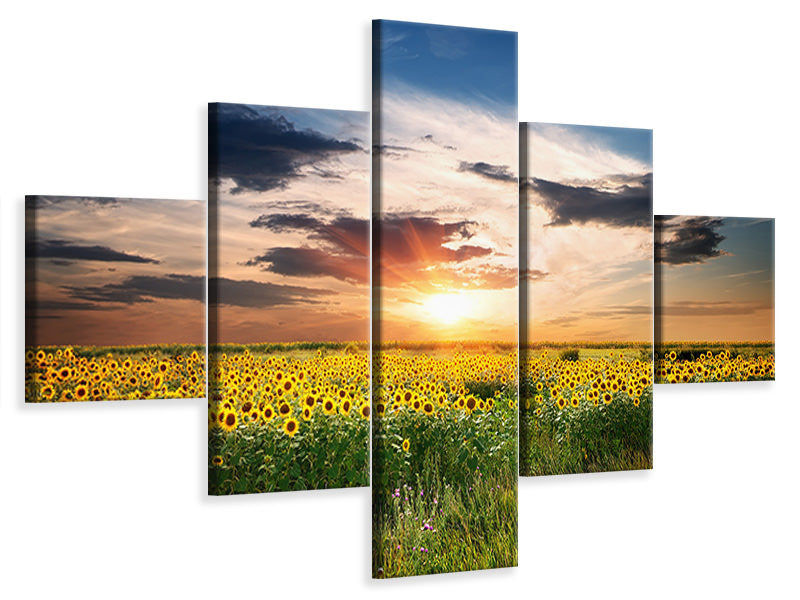 5-piece-canvas-print-a-field-of-sunflowers