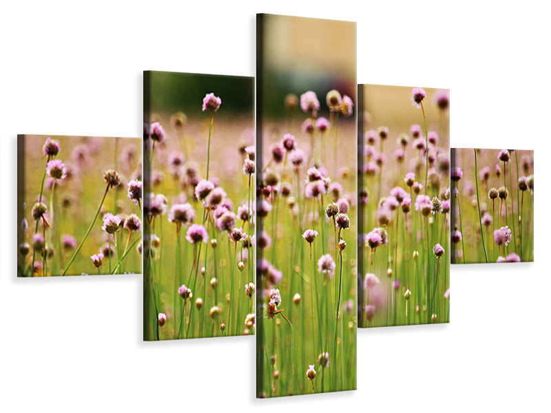 5-piece-canvas-print-a-meadow-full-of-flowers