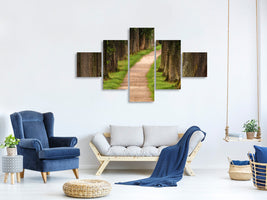 5-piece-canvas-print-a-path-in-the-forest