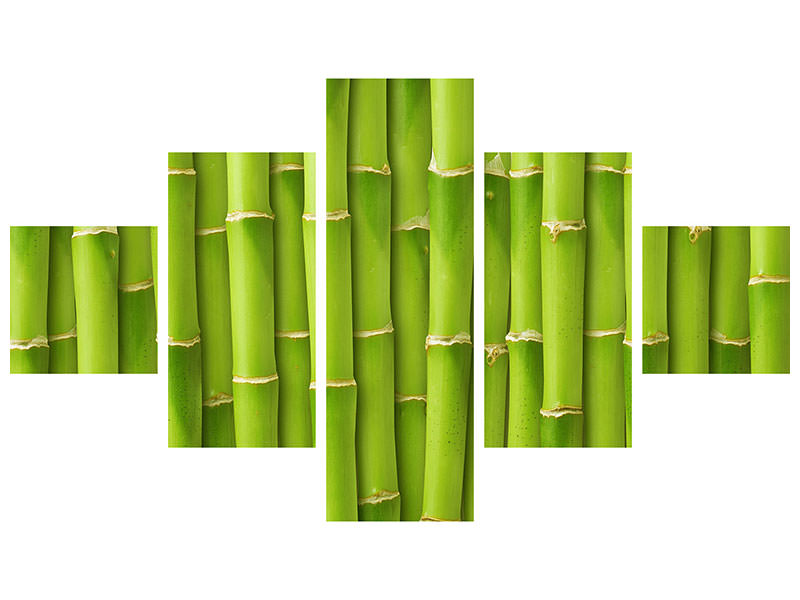 5-piece-canvas-print-bamboo-wall