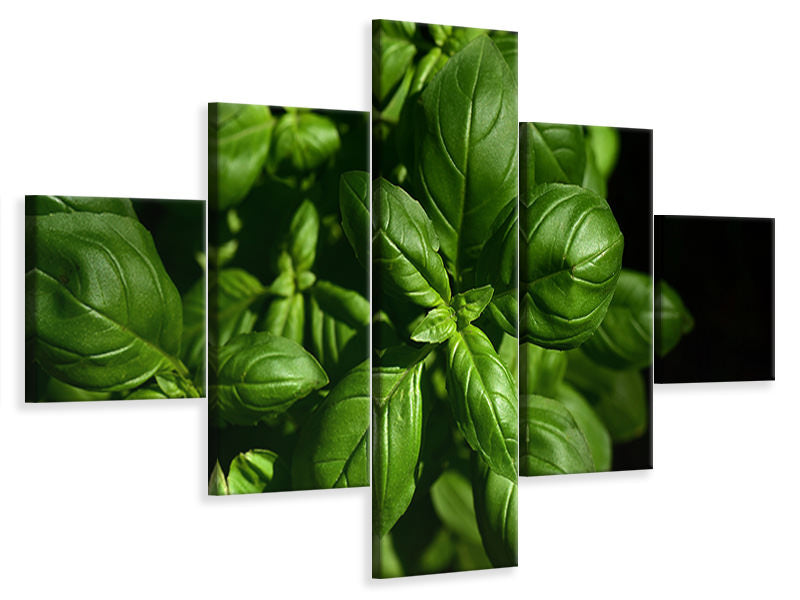 5-piece-canvas-print-basil-in-xl