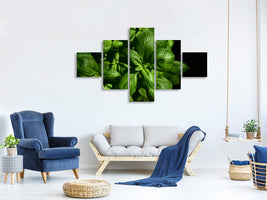 5-piece-canvas-print-basil-in-xl