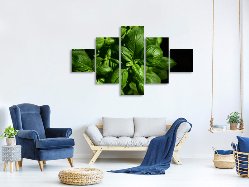 5-piece-canvas-print-basil-in-xl