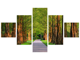 5-piece-canvas-print-beautiful-avenue-in-nature