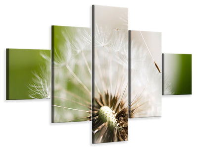 5-piece-canvas-print-blowball-dandelion