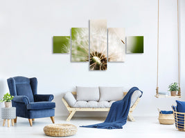 5-piece-canvas-print-blowball-dandelion