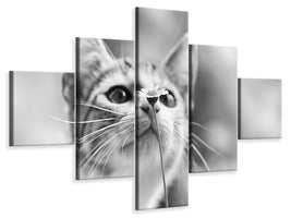 5-piece-canvas-print-curious