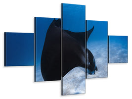 5-piece-canvas-print-dancing-manta