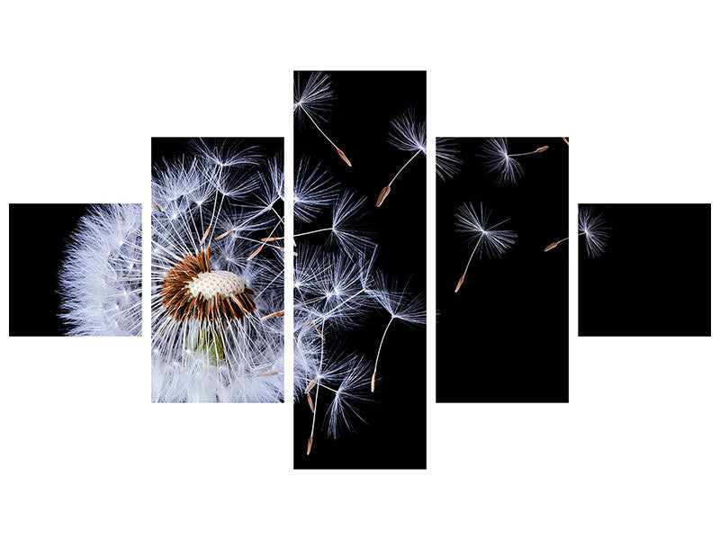 5-piece-canvas-print-dandelion-blowing